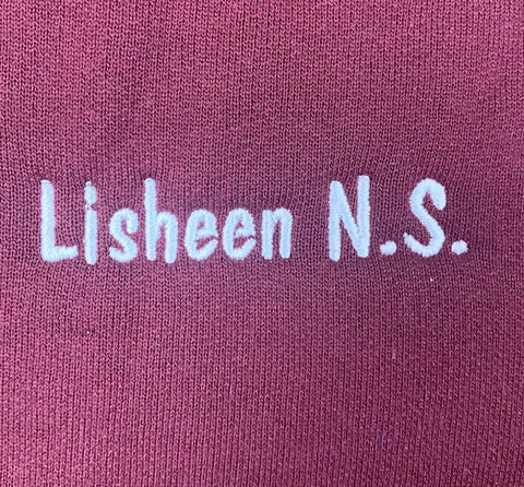 Lisheen National School