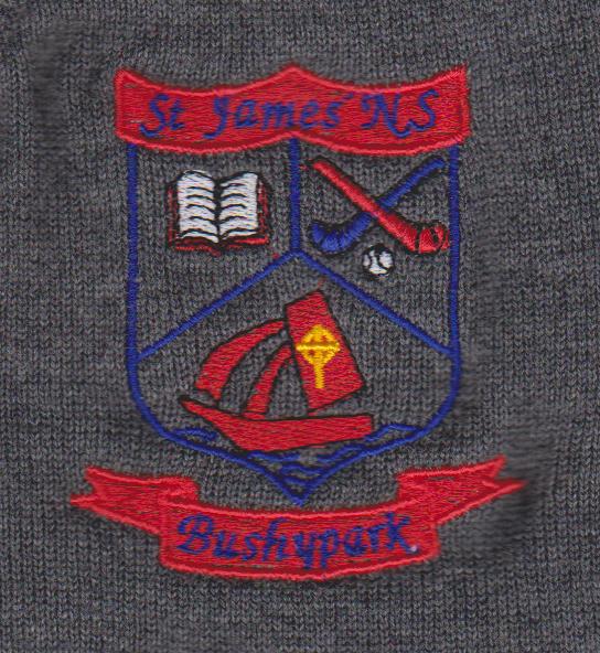ST JAMES BUSHY PARK NATIONAL SCHOOL GREY V NECK KNITED JUMPER